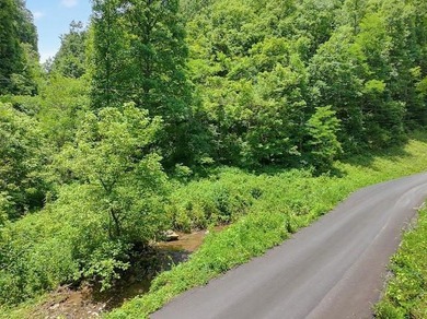 Check out 8 acres of unrestricted land in the scenic countryside - photo 1