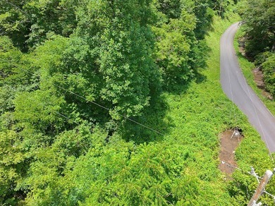 Check out 8 acres of unrestricted land in the scenic countryside - photo 2