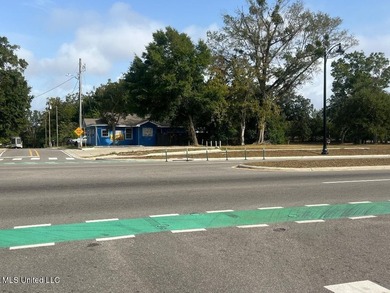 Profitable Business Opportunity in a Prime Biloxi Location Step - photo 13