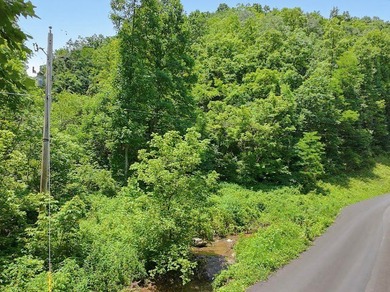 Check out 8 acres of unrestricted land in the scenic countryside - photo 3