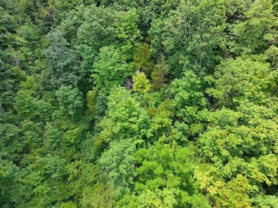 Check out 8 acres of unrestricted land in the scenic countryside - photo 4