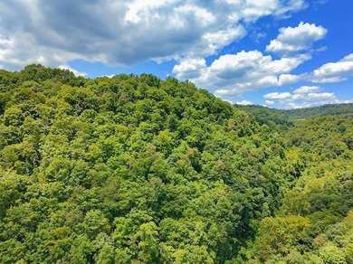 Check out 8 acres of unrestricted land in the scenic countryside - photo 5