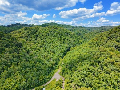 Check out 8 acres of unrestricted land in the scenic countryside - photo 7