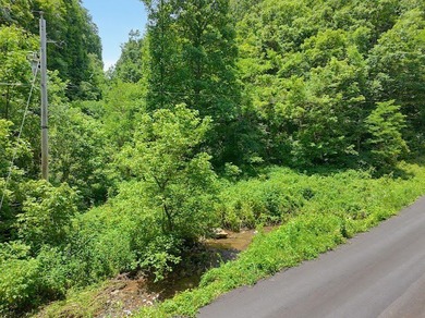 Check out 8 acres of unrestricted land in the scenic countryside - photo 8