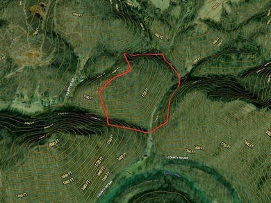 Check out 8 acres of unrestricted land in the scenic countryside - photo 10