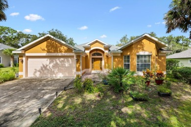 Lake Griffin Home For Sale in Lady Lake Florida