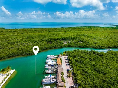 Discover a rare opportunity to own an oversized boat slip with - photo 4