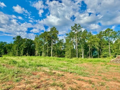 Toledo Bend Lake Lot For Sale in Hemphill Texas