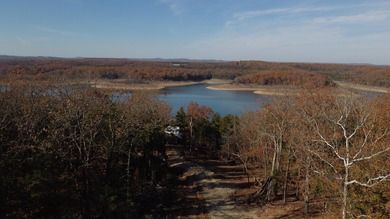 Bull Shoals Lake Home For Sale in Cedarcreek Missouri
