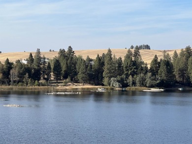 Lake Lot For Sale in Medical Lake, Washington