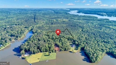 Lake Acreage For Sale in Buckhead, Georgia