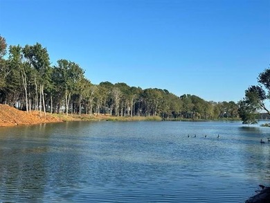 Lake Lot For Sale in Frankston, Texas