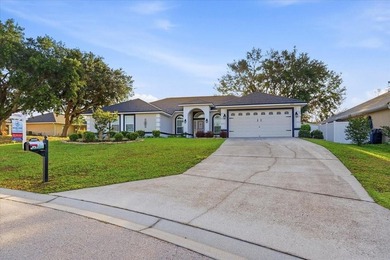 Under contract-accepting backup offers. You're not going to find - photo 44