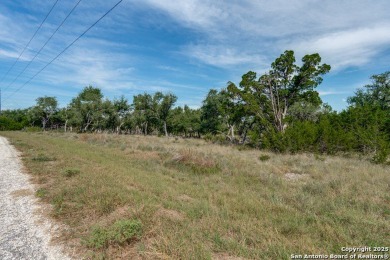 Lake Acreage For Sale in Spring Branch, Texas