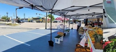 LOCATION, LOCATION, LOCATION! Rare commercial/residential - photo 4