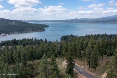  Lot Sale Pending in Harrison Idaho