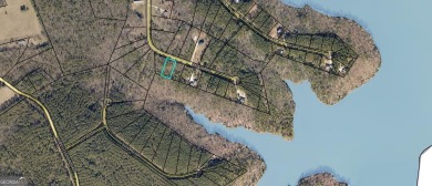Lake Lot For Sale in Elberton, Georgia