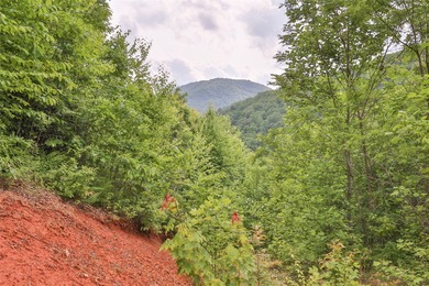Tucked away in approximately 60.30+/- acres of unrestricted - photo 11