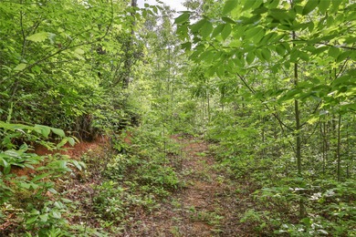 Tucked away in approximately 60.30+/- acres of unrestricted - photo 13