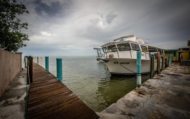 This property encompasses 15 Seaview Ave, 5 Seaview Ave, and a - photo 16
