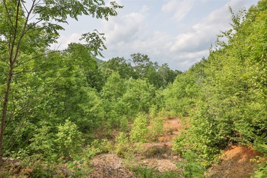 Tucked away in approximately 60.30+/- acres of unrestricted - photo 17