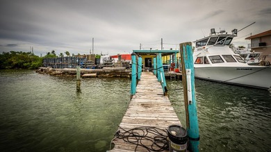 This property encompasses 15 Seaview Ave, 5 Seaview Ave, and a - photo 18