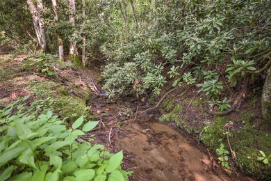 Tucked away in approximately 60.30+/- acres of unrestricted - photo 19