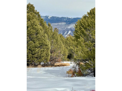 Mark J Covington, RE/MAX Alpine View, C:,,: .919 acre lot - photo 1