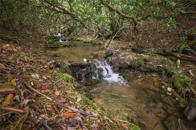Tucked away in approximately 60.30+/- acres of unrestricted - photo 21