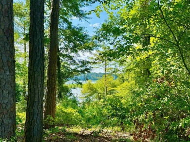 Lake Lot Sale Pending in Hemphill, Texas