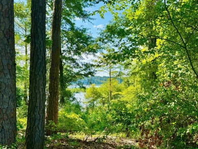 Toledo Bend Lake Lot For Sale in Hemphill Texas