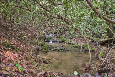 Tucked away in approximately 60.30+/- acres of unrestricted - photo 22