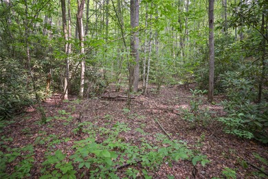 Tucked away in approximately 60.30+/- acres of unrestricted - photo 23