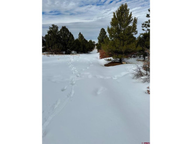 Mark J Covington, RE/MAX Alpine View, C:,,: .919 acre lot - photo 4