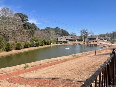 Come see this beautiful, move-in ready, one level home in the - photo 25