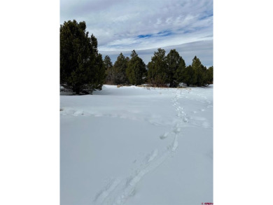Mark J Covington, RE/MAX Alpine View, C:,,: .919 acre lot - photo 5