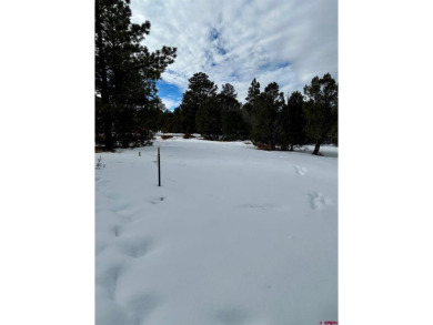 Mark J Covington, RE/MAX Alpine View, C:,,: .919 acre lot - photo 6
