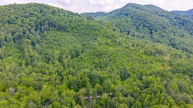 Tucked away in approximately 60.30+/- acres of unrestricted - photo 26