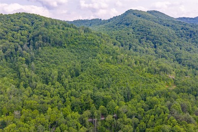 Tucked away in approximately 60.30+/- acres of unrestricted - photo 28