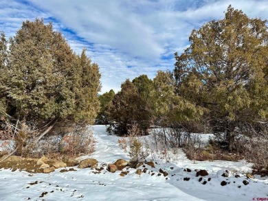 Mark J Covington, RE/MAX Alpine View, C:,,: .919 acre lot - photo 9