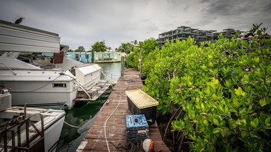 This property encompasses 15 Seaview Ave, 5 Seaview Ave, and a - photo 29