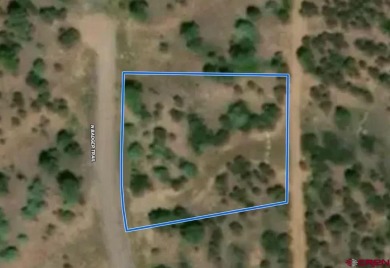 Mark J Covington, RE/MAX Alpine View, C:,,: .919 acre lot - photo 10