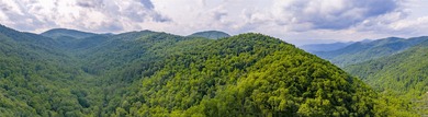 Tucked away in approximately 60.30+/- acres of unrestricted - photo 30
