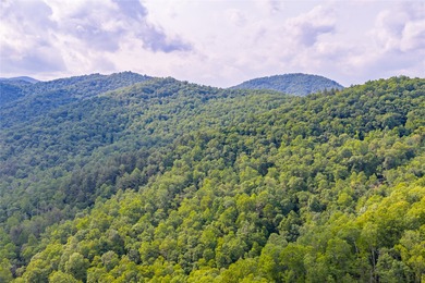 Tucked away in approximately 60.30+/- acres of unrestricted - photo 31