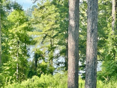 Toledo Bend Lake Lot For Sale in Hemphill Texas