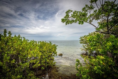This property encompasses 15 Seaview Ave, 5 Seaview Ave, and a - photo 32