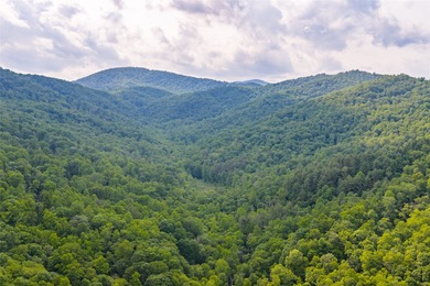 Tucked away in approximately 60.30+/- acres of unrestricted - photo 32