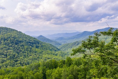 Tucked away in approximately 60.30+/- acres of unrestricted - photo 33