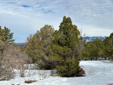 Mark J Covington, RE/MAX Alpine View, C:,,: .919 acre lot with a - photo 5