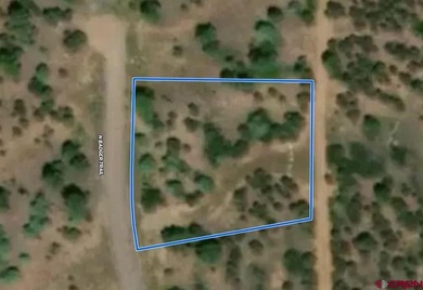 Mark J Covington, RE/MAX Alpine View, C:,,: .919 acre lot with a - photo 6